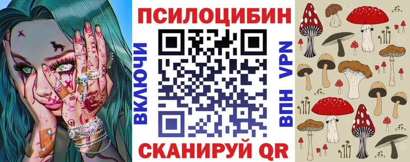 где найти   Мичуринск  Галлюциногенные грибы Cubensis 