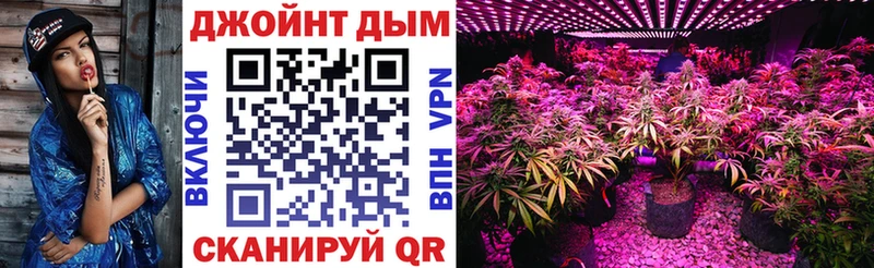 Канабис тримм  цена   kraken tor  Мичуринск 